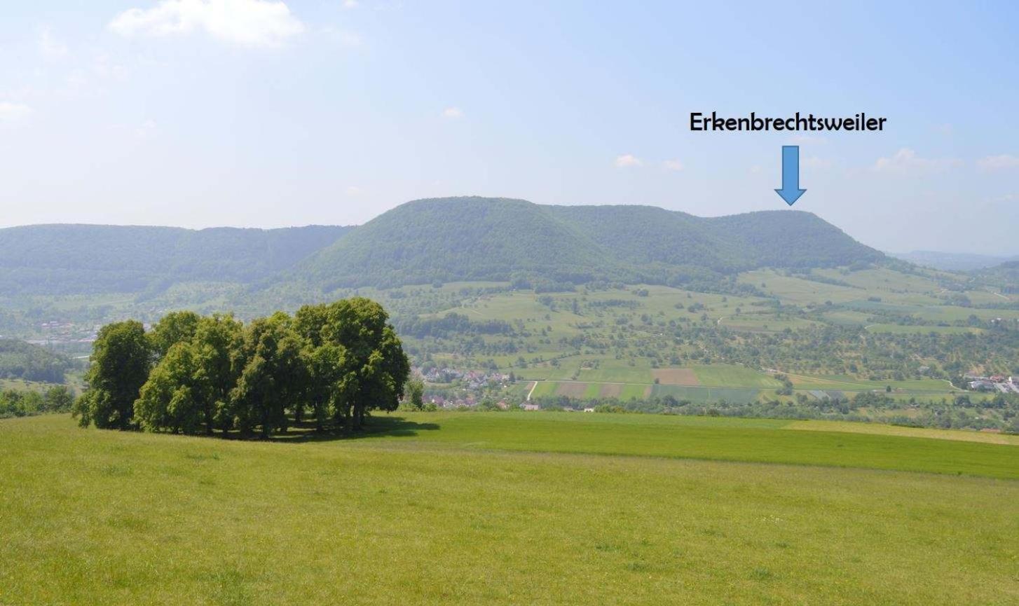 Fewo-Alb-Traum Erkenbrechtsweiler 外观 照片